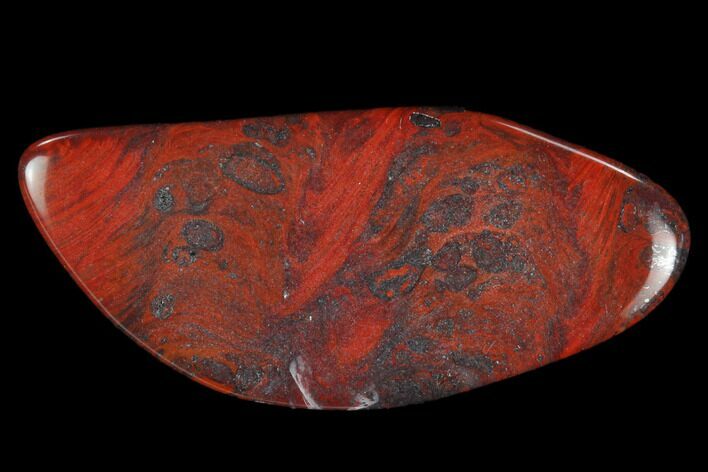 Polished Stromatolite (Collenia) - Minnesota #126095